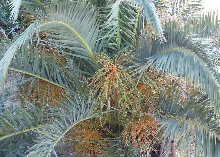 Bacvice דירה ספליט